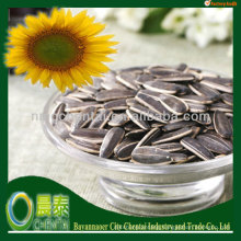 Wholesale Good Quality American Tpye Roasted Sunflower Seeds kernel